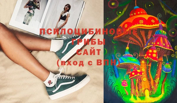 Альфа ПВП Горняк