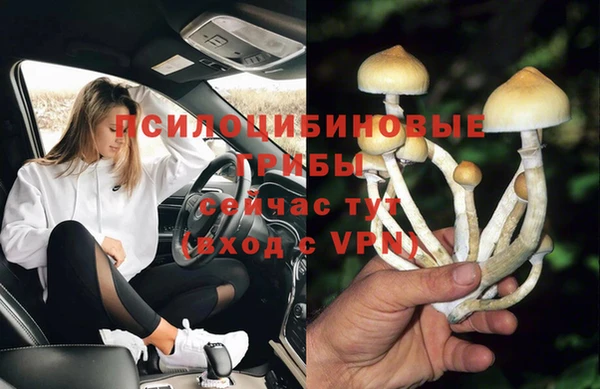 Альфа ПВП Горняк