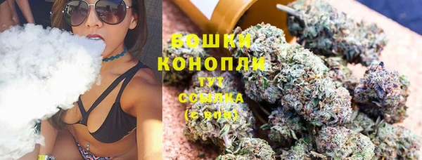 Альфа ПВП Горняк