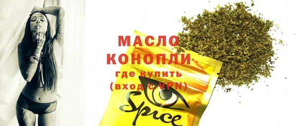 Альфа ПВП Горняк