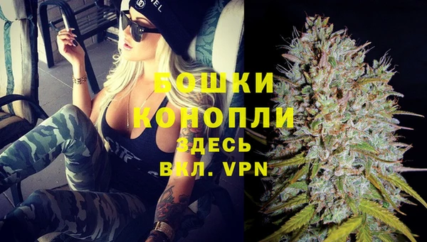 Альфа ПВП Горняк
